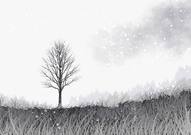 蘑菇影视在线观看影视排行榜更新｜短片内容研究持续霸榜引发热议