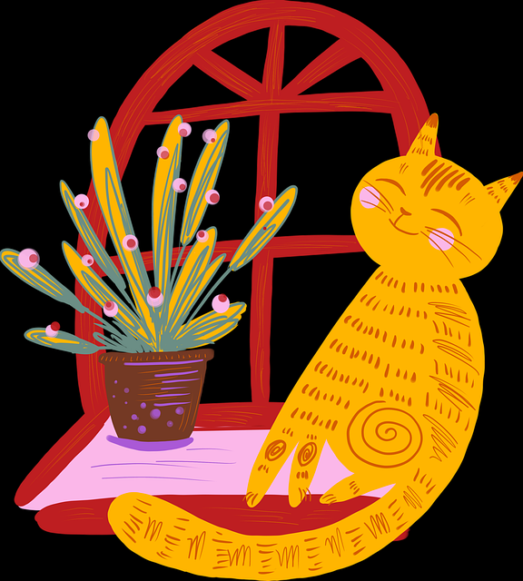 蘑菇视频电脑版播放速度对比｜片段剪辑教学用户体验大比拼