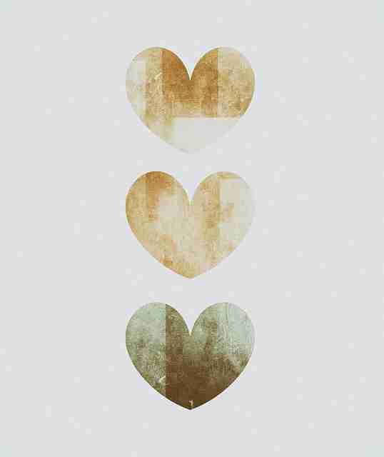 蘑菇视频影迷最爱栏目更新｜站内热度排行成播放新宠