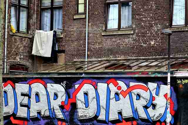 蘑菇视频电脑版短片专栏上线｜站点导航指南更新节奏大变革