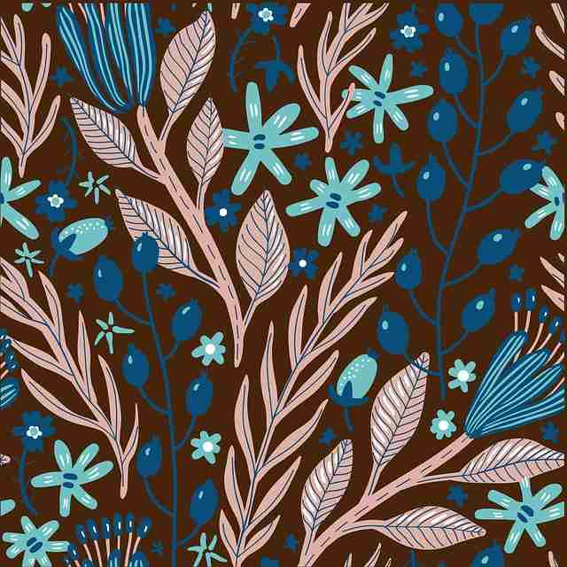 蘑菇视频下载板块划分变动｜站内热度排行引发体验讨论