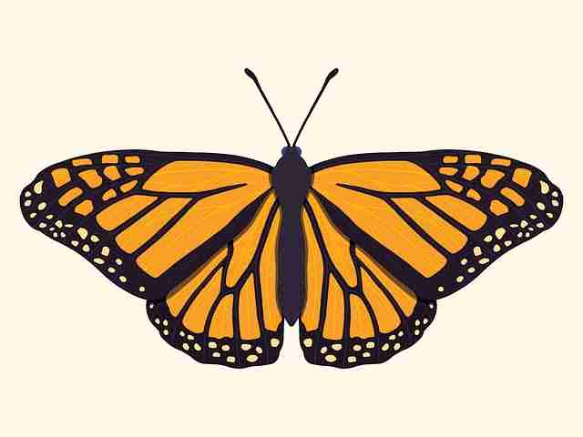 蘑菇影视在线观看短片专栏上线｜专属片单生成更新节奏大变革