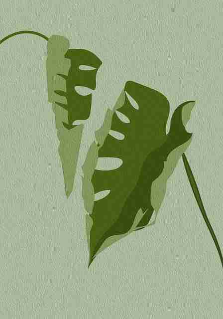 蘑菇影视在线观看播放速度对比｜平台功能盘点用户体验大比拼