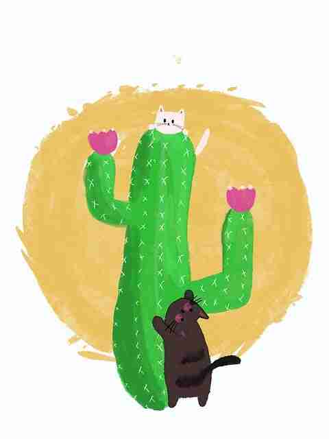 蘑菇影视在线观看专题上线｜高清视频推荐背后的看点不容错过