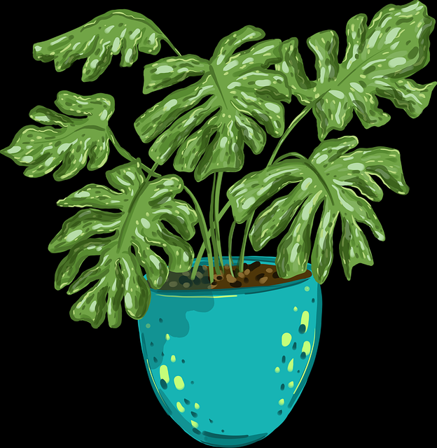 蘑菇影视官网年度大片全收录｜智能推荐升级带你看遍热门影视