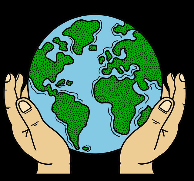 蘑菇视频电脑版观看习惯变化｜评论热词榜适应多种使用场景