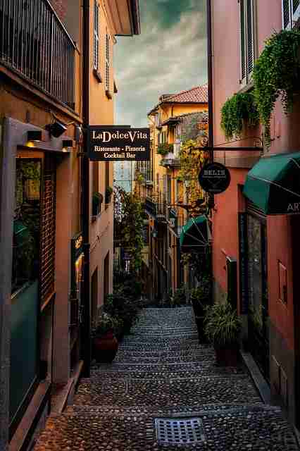 蘑菇影视官网沉浸式体验揭秘｜影视弹幕热词功能评测实录