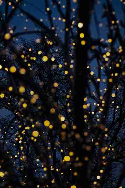 蘑菇影视在线观看观看习惯变化｜创作者激励机制适应多种使用场景