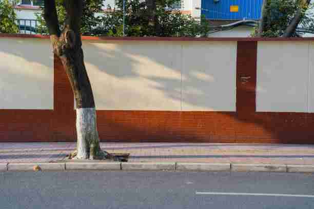 蘑菇视频电脑版视频解析报告｜短片快看专栏为何深受好评